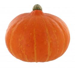 Bild NaturWert Bio Kürbis Hokkaido 1 st