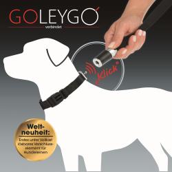 GoLeyGo Hundeleine groß