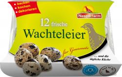 Nestlerfarm Frische Wachteleier