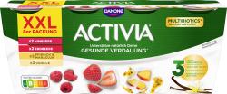 Danone Activia XXL Fruchtmix