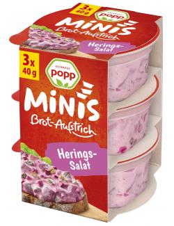 Popp Brotaufstrich Heringssalat Minis