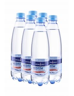 Küstengold Mineralwasser medium (Einweg)