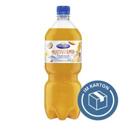 Christinen Multivitamin   EINWEG