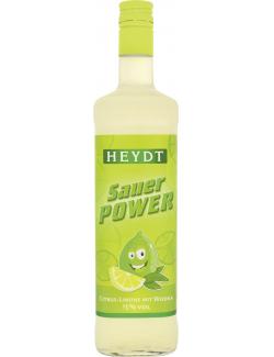 Heydt Sauer Power