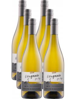 Rieger Organic for Life Grauer Burgunder Demeter Weißwein trocken