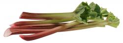 Hofwerte Rhabarber