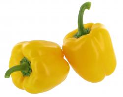 Paprika Gelb
