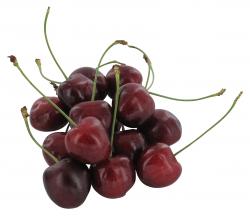 Kirschen