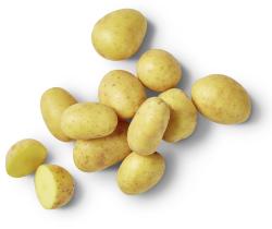 Kartoffel-Lieblinge festkochend