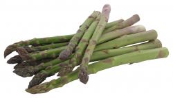 Goldmarie Spargel grün