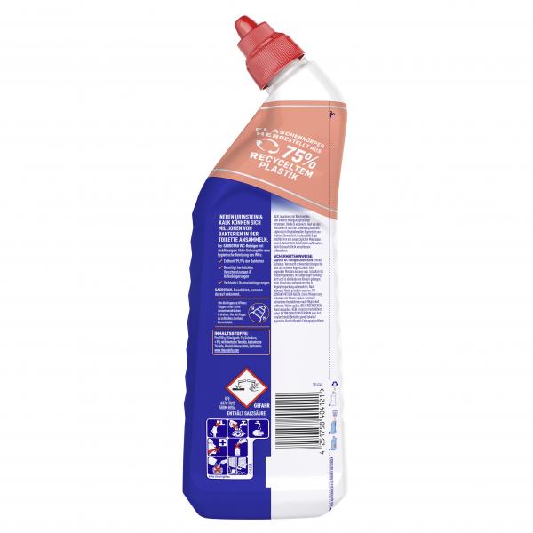 Sagrotan WC-Reiniger Ozeanfrische
