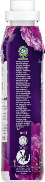 Lenor Weichspüler Relax Blütentraum & ein Hauch von Moschus