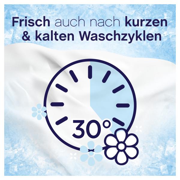 Lenor Weichspüler Frische Baumwollblüte