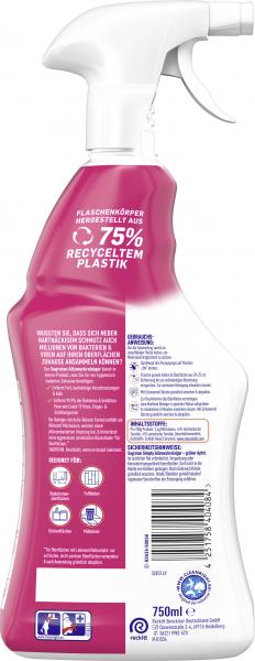 Sagrotan Allzweck-Reiniger 2in1 Blütenfrische & Grüner Apfel