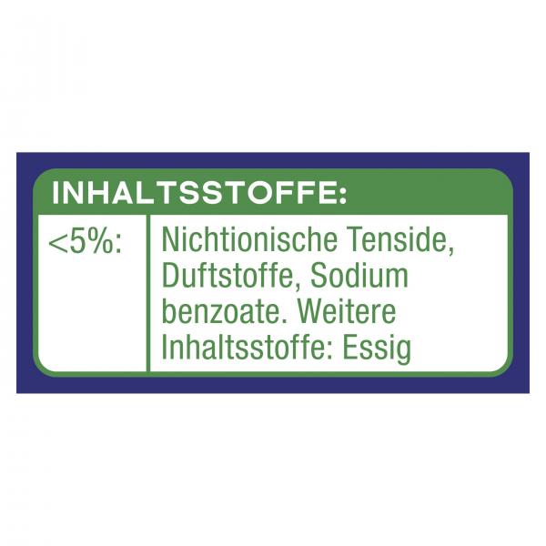 Viss Cleanboost Bad + Dusche Anti-Kalk