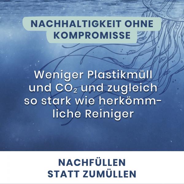 Blaue Helden Badreiniger Starterset