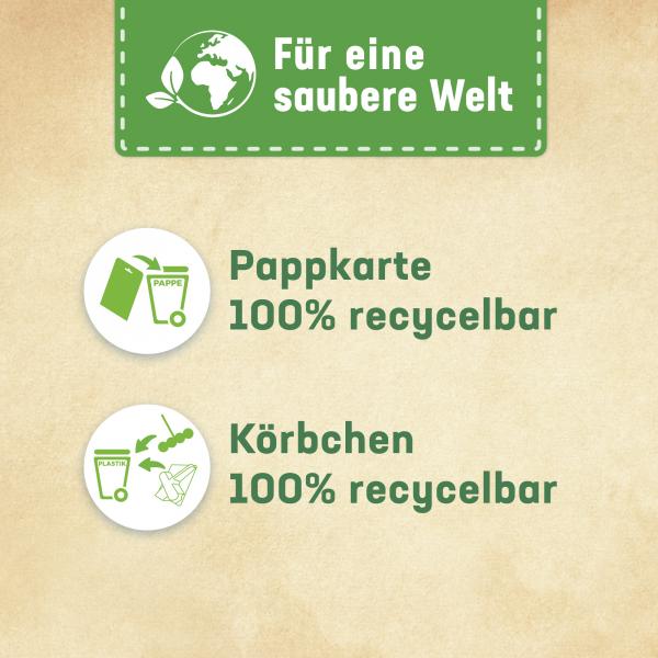 WC Frisch Kraft-Aktiv Blauspüler Ozeanfrische