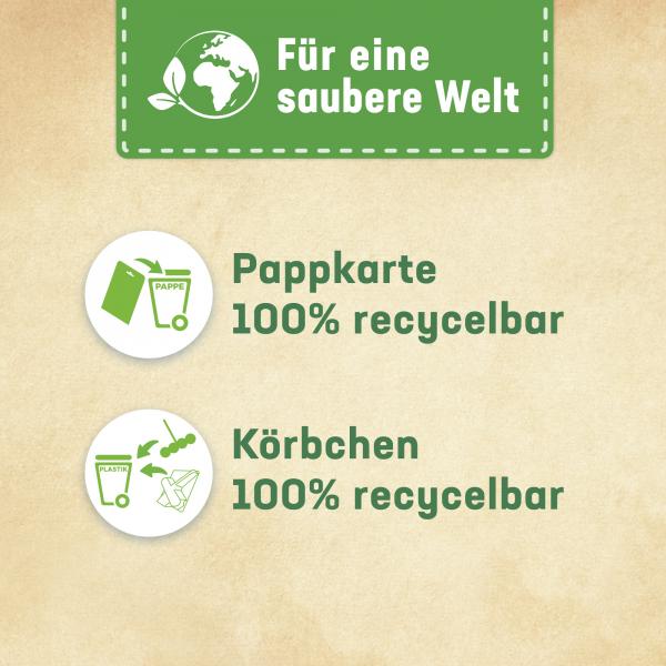 WC Frisch Kraft Aktiv Duftspüler Lemon