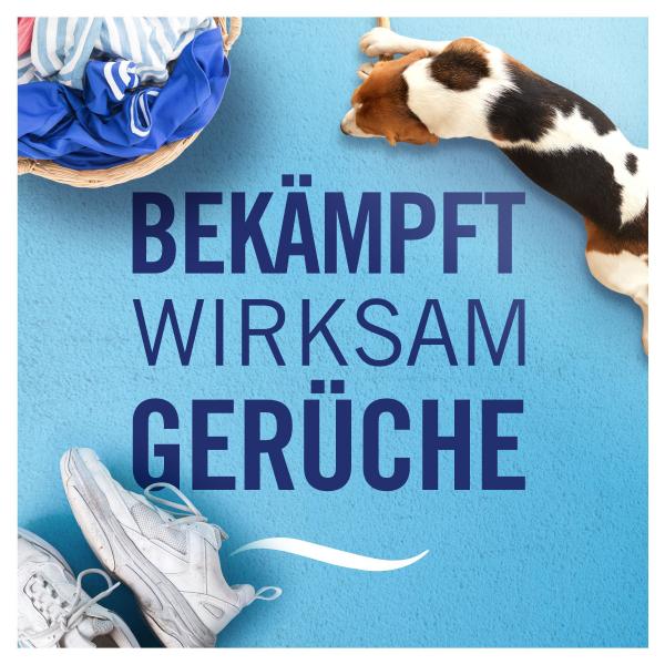 Febreze Lufterfrischer Lenor Amethyst Blütentraum