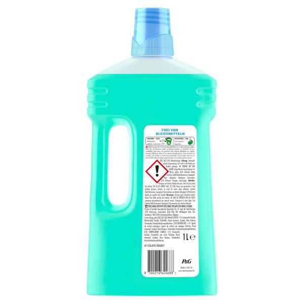 Meister Proper Allzweckreiniger Frühlingserwachen