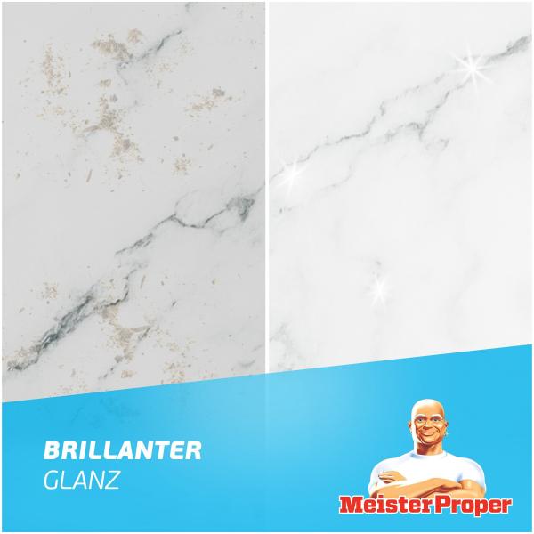 Meister Proper Allzweckreiniger Frühlingserwachen