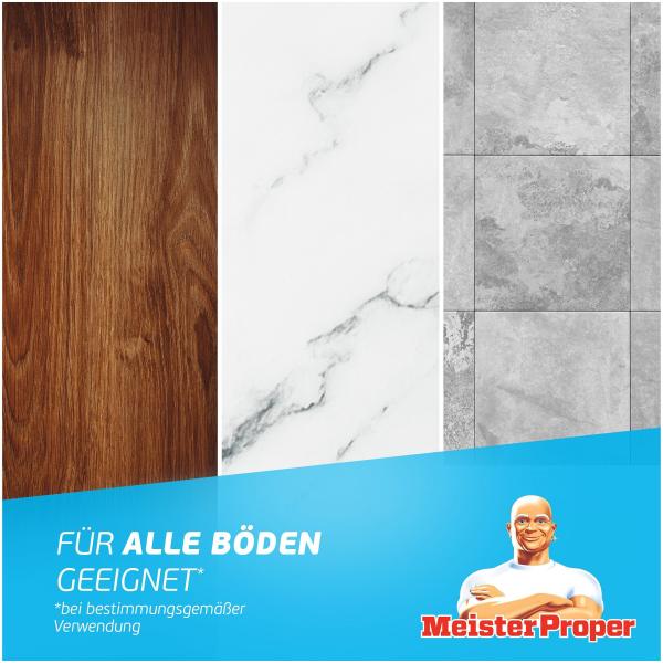 Meister Proper Allzweckreiniger Frühlingserwachen