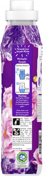 Lenor Weichspüler Blütentraum