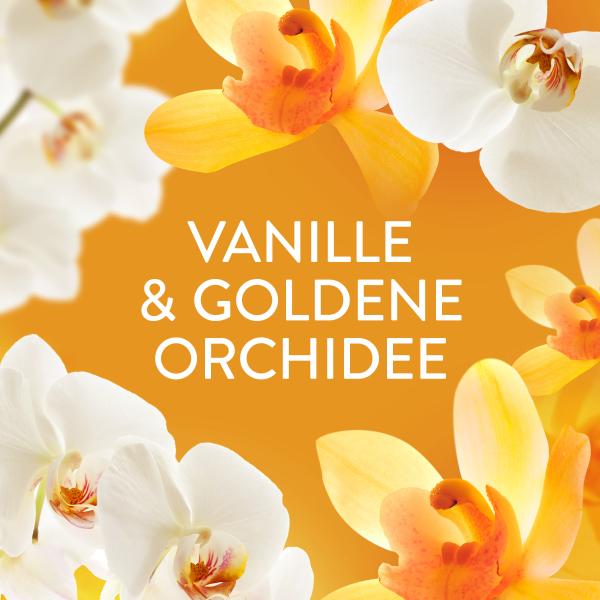 Lenor Wäscheparfüm Orchidee & Vanille
