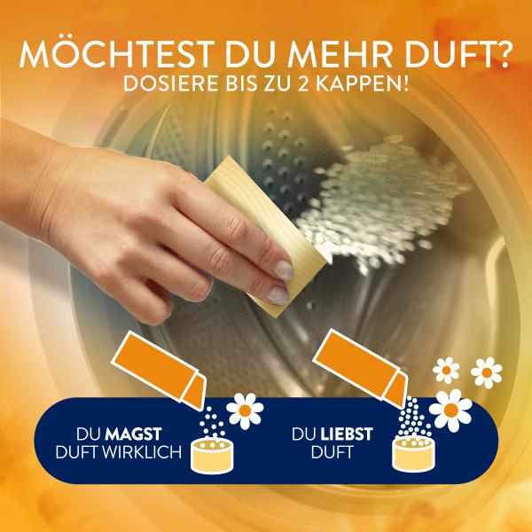 Lenor Wäscheparfüm Orchidee & Vanille