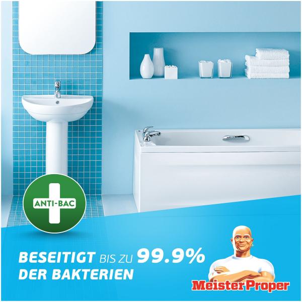 Meister Proper Badreiniger Sprühen-Wischen-Fertig Blütenfrische