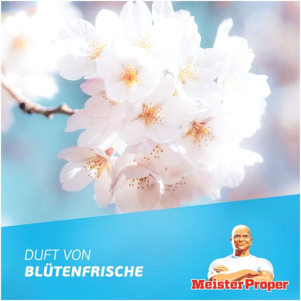 Meister Proper Badreiniger Sprühen-Wischen-Fertig Blütenfrische