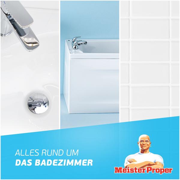 Meister Proper Badreiniger Sprühen-Wischen-Fertig Blütenfrische