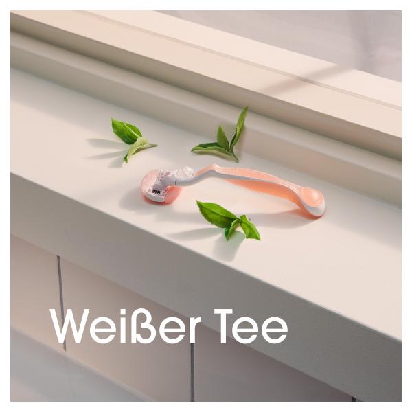 Gilette Venus Comfortglide Spa Breeze Rasierklingen