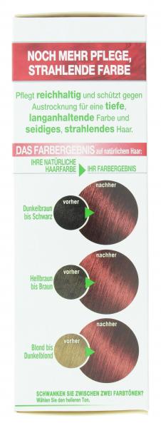 Garnier Nutrisse FarbSensation Pflege-Haarfarbe 6.60 intensiv Rot