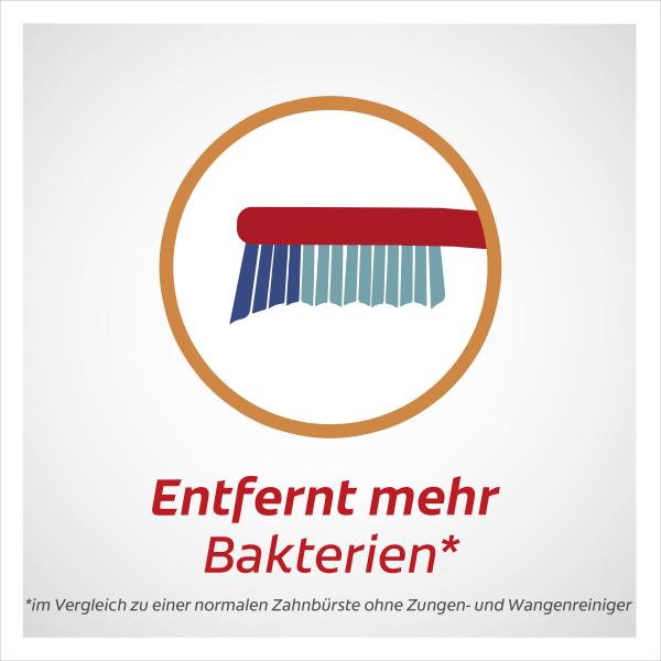 Colgate Zahnbürste Extra Clean mittel