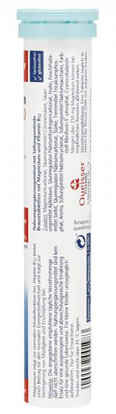 Doppelherz aktiv Magnesium 500 + B12 Brausetabletten