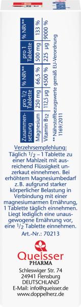 Doppelherz aktiv Magnesium 500 + B12
