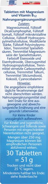 Doppelherz aktiv Magnesium 500 + B12