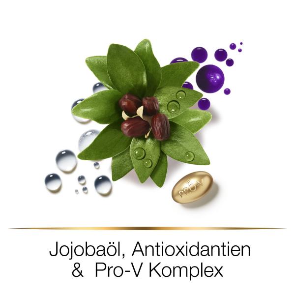 Hair Biology Grey & Glowing Pflegespülung