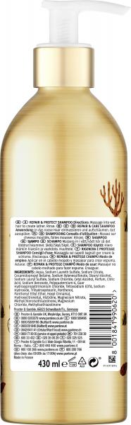Pantene Pro-V Repair & Care Shampoo Für Geschädigtes Haar, Nachfüllbare Aluminiumflasche