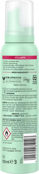 Schwarzkopf Taft Volumen Schaumfestiger Halt 5