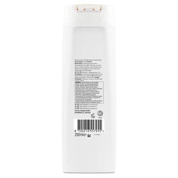 Pantene Pro-V Glatt & Seidig Shampoo 3in1