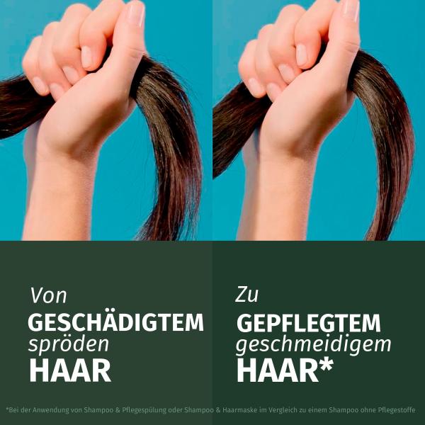 Herbal Essences Pflegespülung Repair Arganöl