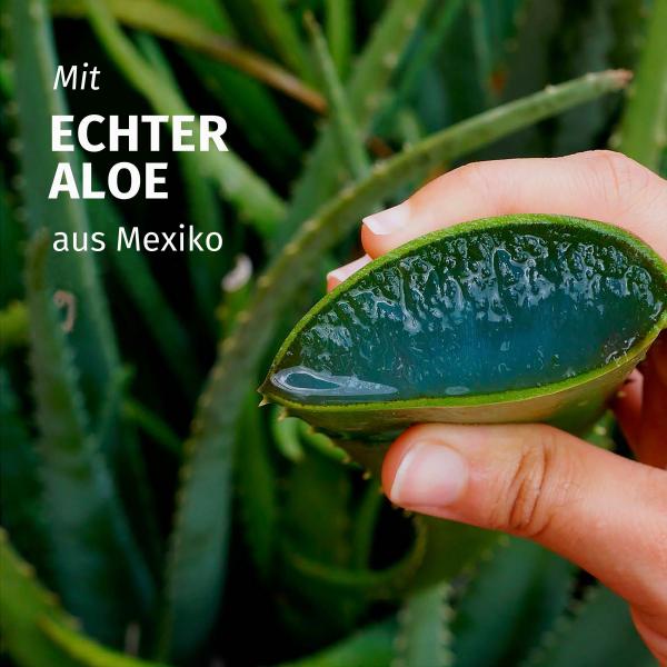 Herbal Essences Pflegespülung Feuchtigkeit Aloe Vera