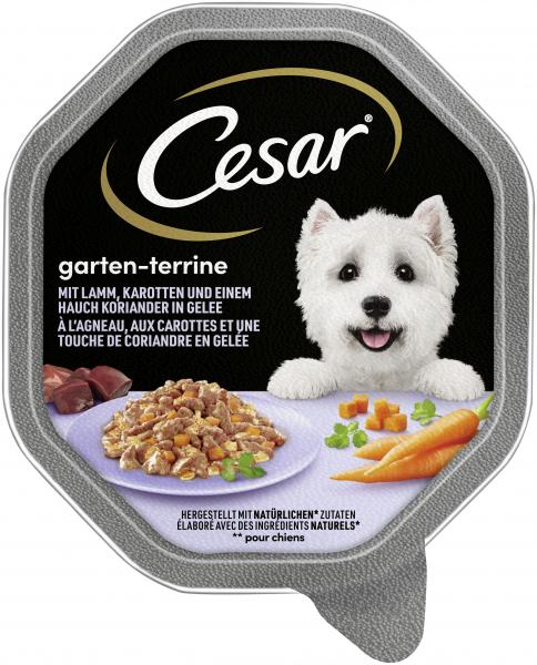 Cesar Garten-Terrine mit Lamm, Karotten und einem Hauch Koriander in Gelee