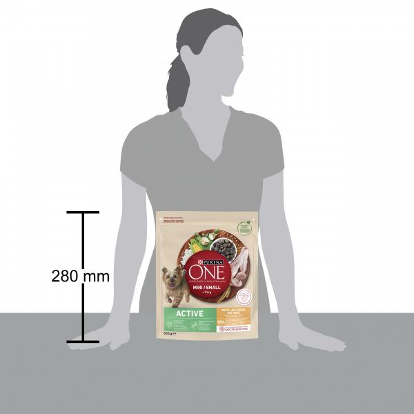 Purina One Mini/Small 