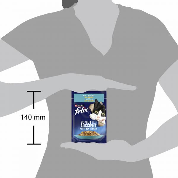 Felix So gut wie es aussieht mit Thunfisch in Gelee