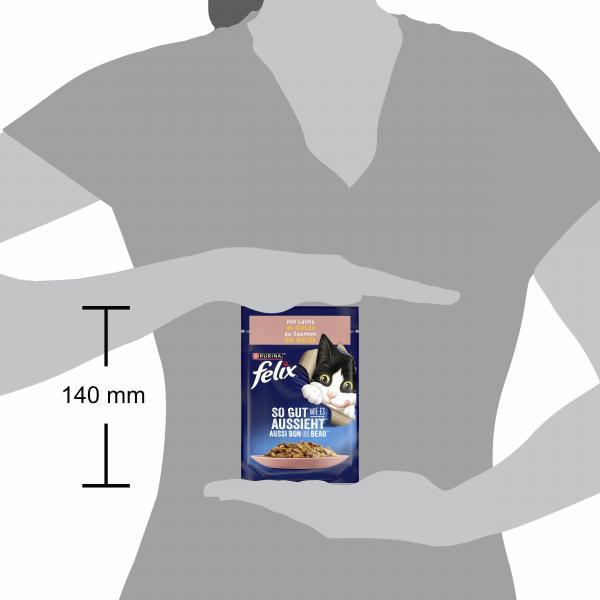 Felix So gut wie es aussieht mit Lachs in Gelee