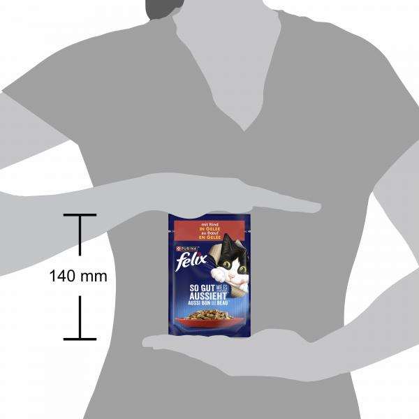 Felix So gut wie es aussieht mit Rind in Gelee