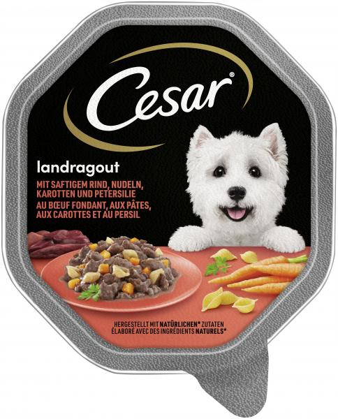 Cesar Landragout mit Rind, Nudeln, Kartotten und Petersilie